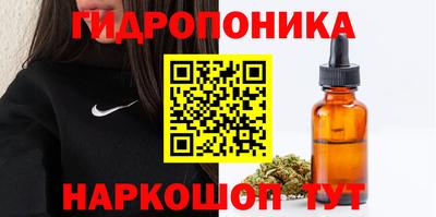 шишки Ивантеевка