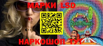 шишки Ивантеевка