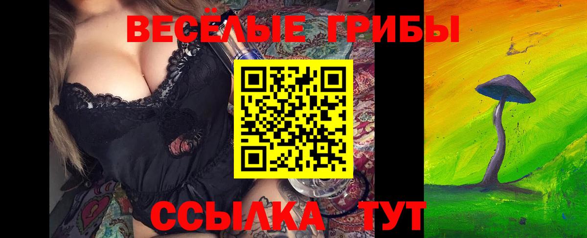 как найти закладки  Вход с VPN  Саров  Псилоцибиновые грибы Cubensis 