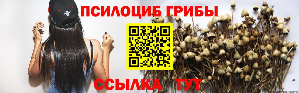Псилоцибиновые грибы Magic Shrooms Саров
