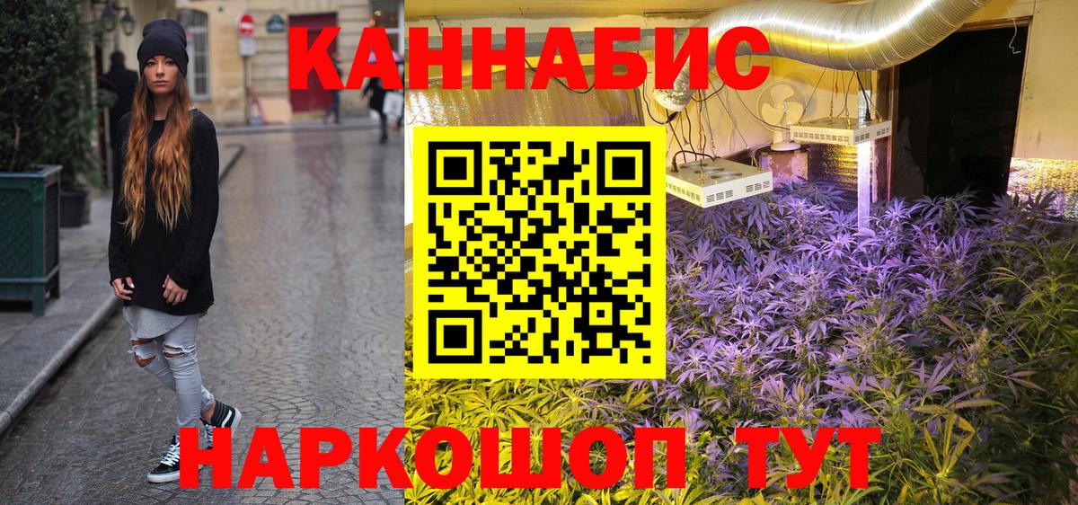 Шишки марихуана план  Шишки марихуана план  Саров  Вход с VPN  Каннабис семена 